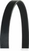 MAGNETI MARELLI 600000001040 V-Ribbed Belts